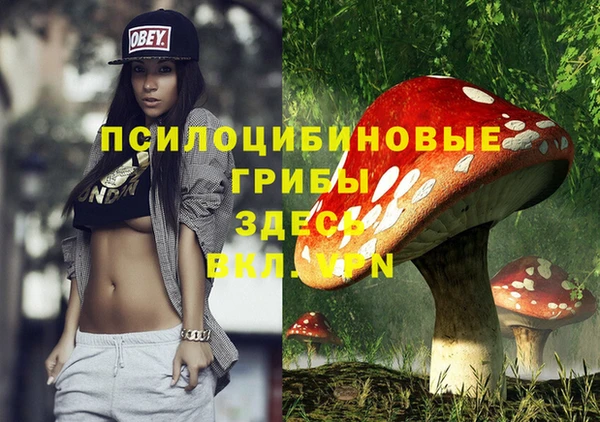 каннабис Медвежьегорск