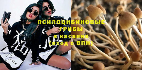 винт Мегион