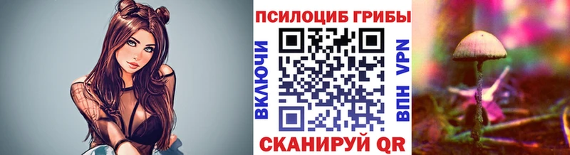 Псилоцибиновые грибы Psilocybine cubensis  hydra ССЫЛКА  Таштагол  цена  